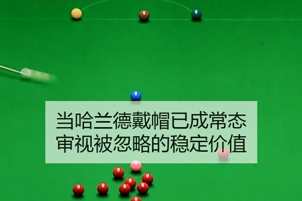 dang-ha-lan-de-dai-mao-yi-cheng-chang-tai-shen-shi-bei-hu-lve-de-wen-ding-jia-zhi-2-651.jpg
